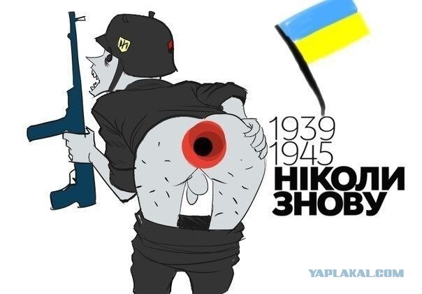 Украина предложила американской армии свои услуги.