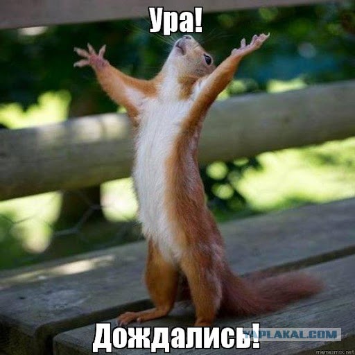 Ведь могут же!