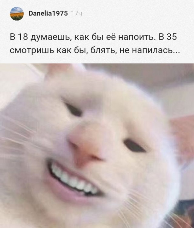 Алкопост 12.11.22