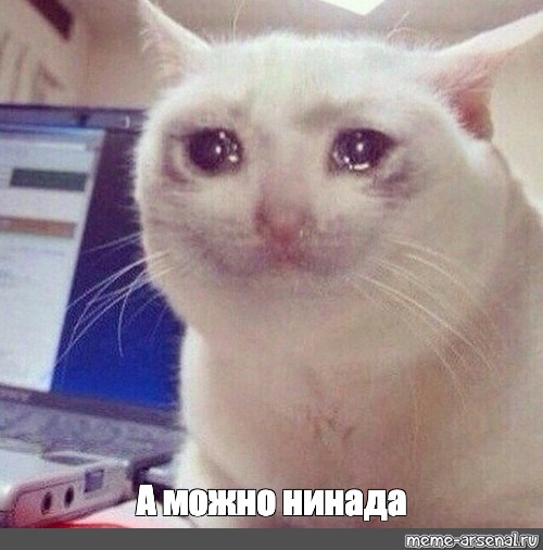 Диванные воины, а Вы всё жалуетесь.