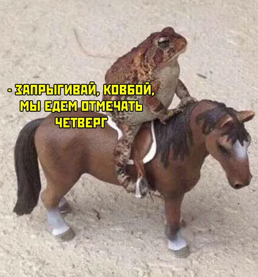 Немного картинок для настроения - 135