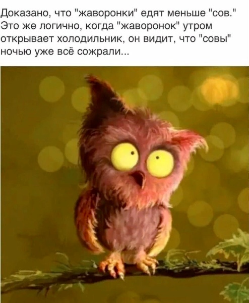 Картинки и мемы, всем хороших выходных