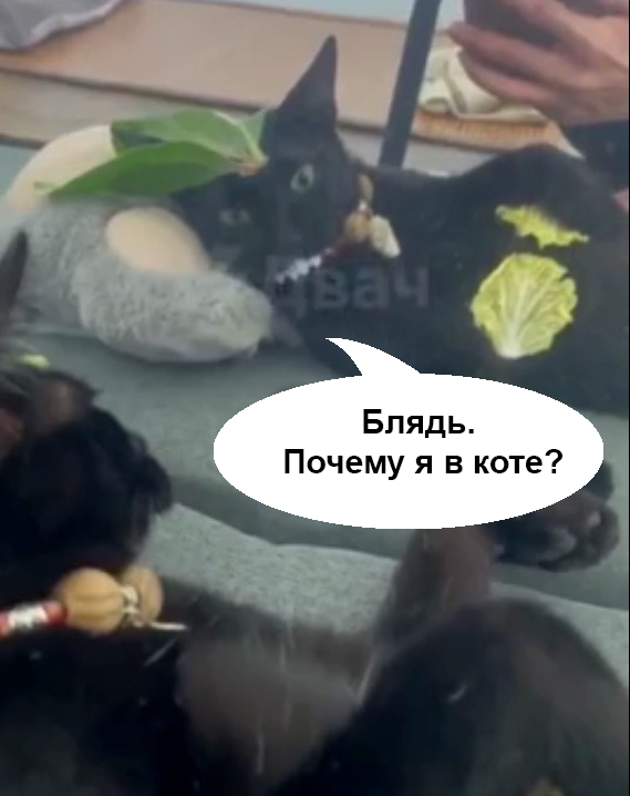 Уснул на вписке