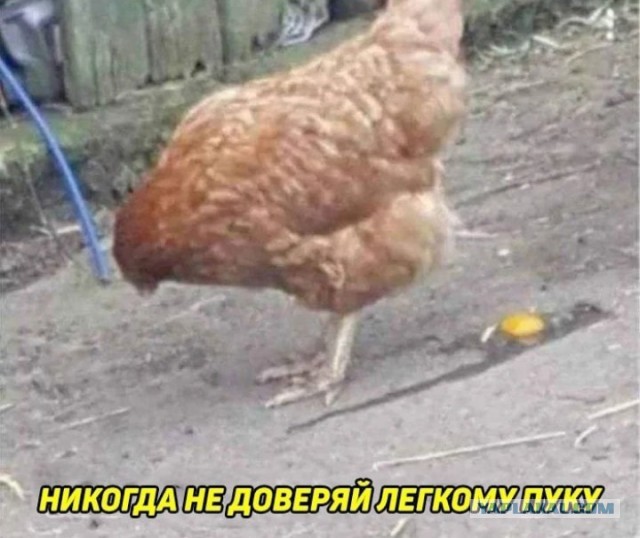 Всего понемногу. От 05.08