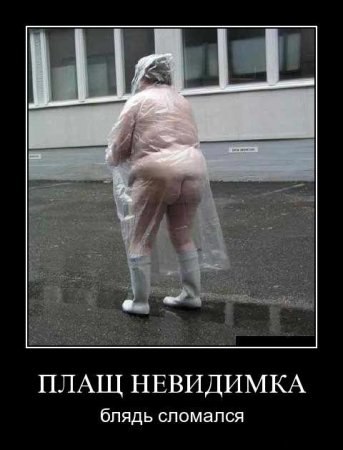 Картинки из Дристоля - 3