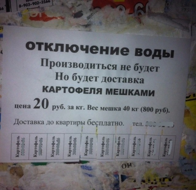 Перлы 04.06.24