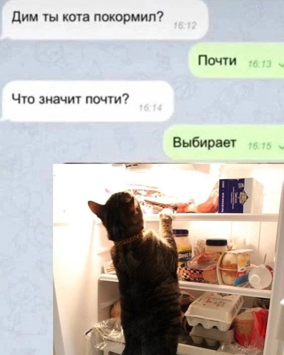 Так себе картинки 14.05.25