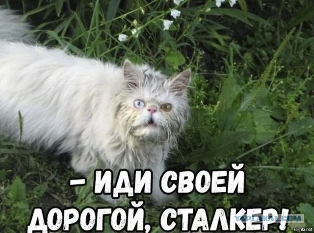 "Вещи свои собрали и на*уй отсюда съ*бались"
