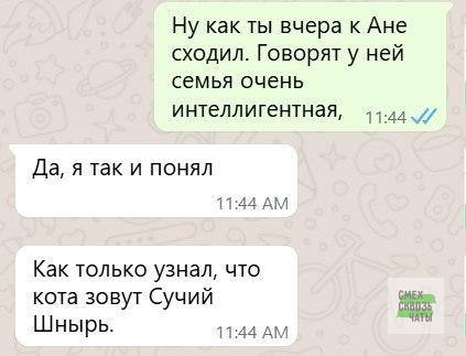 Картинки для деградации 18 (разной степени свежести)