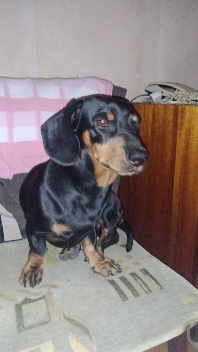 Натяжные стены — новый тренд интерьеров в ремонте