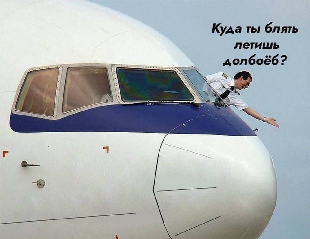 20465722.jpg