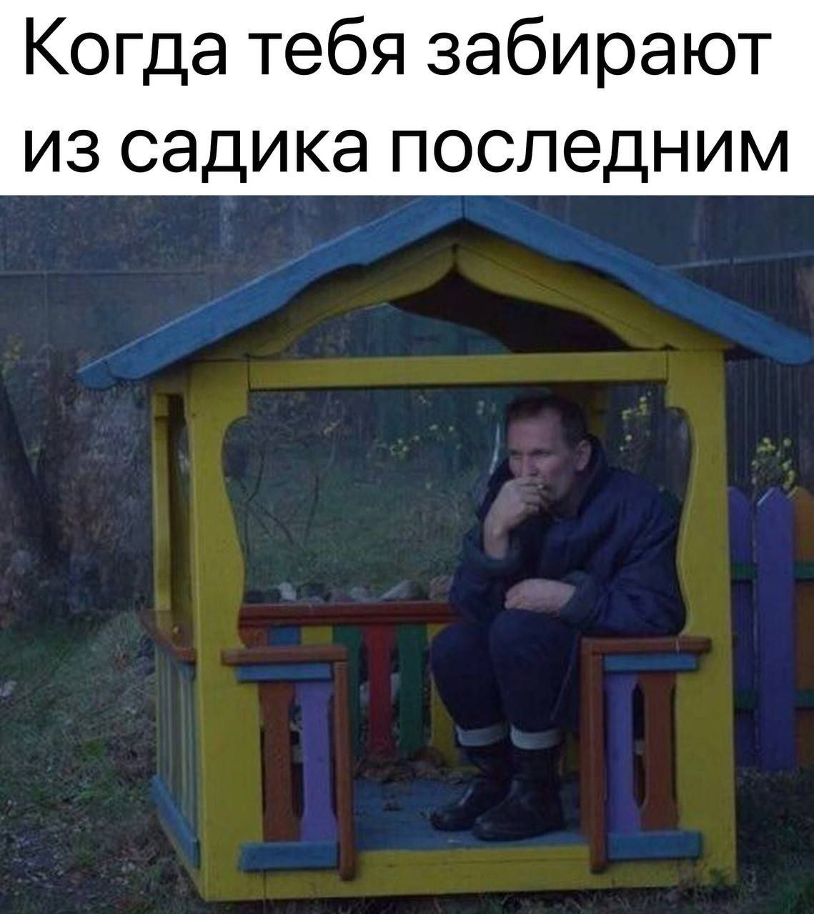 20585722.jpg