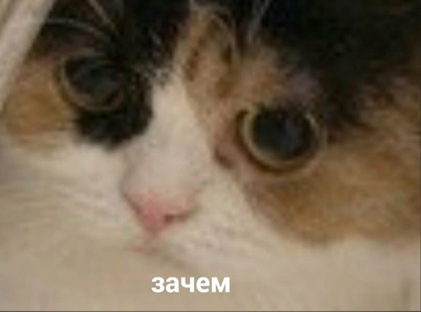 Делаю кухню для бывшей