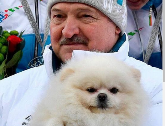 Назовите лучшую пару ✌️