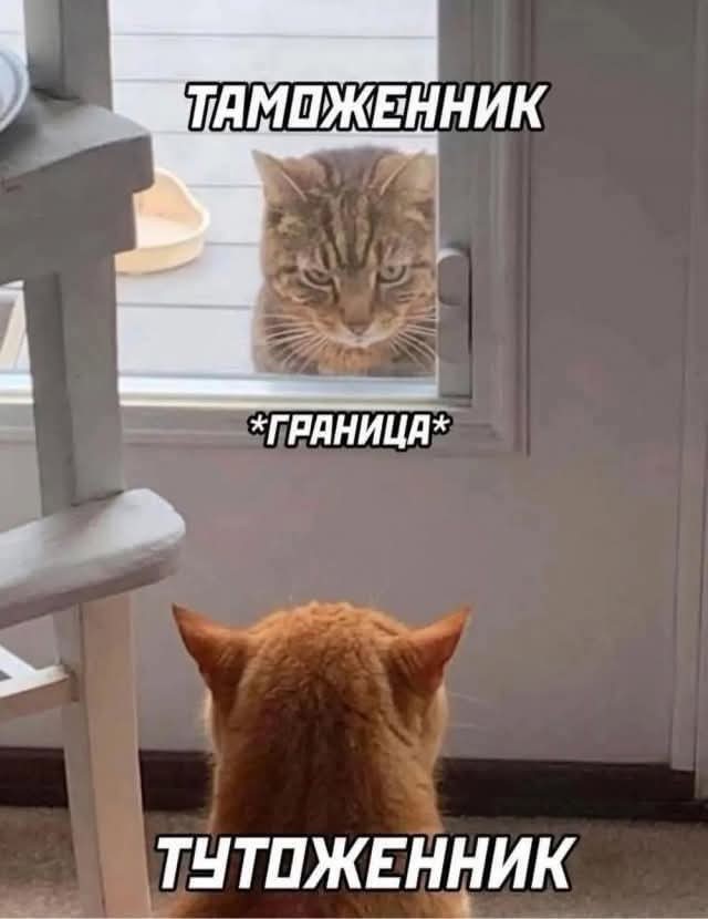Веселые картинки в маленькую пятницу (13.05)