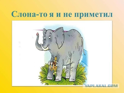 На встречу едет здоровенный КамАЗ? Где?