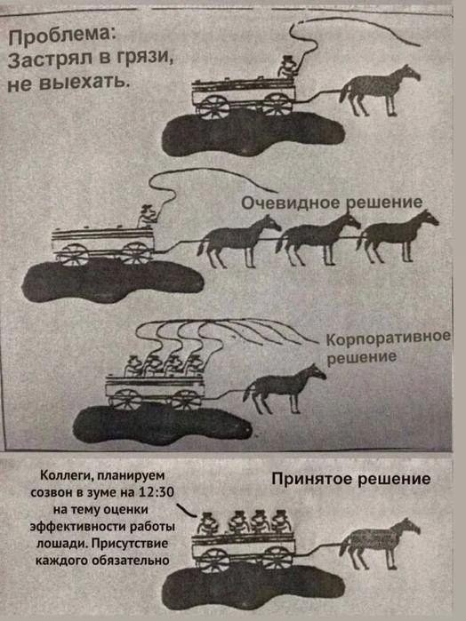 Картинки для деградации 230 (разной степени свежести)