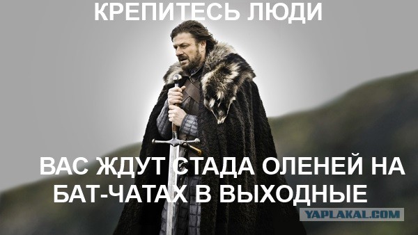 Wargaming 6