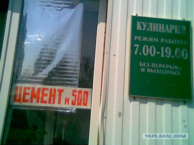 Что мы видим вокруг себя
