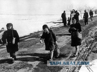 Фотографии второй мировой, многие цветные (фото)
