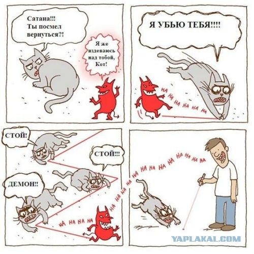 Котик и пылесос