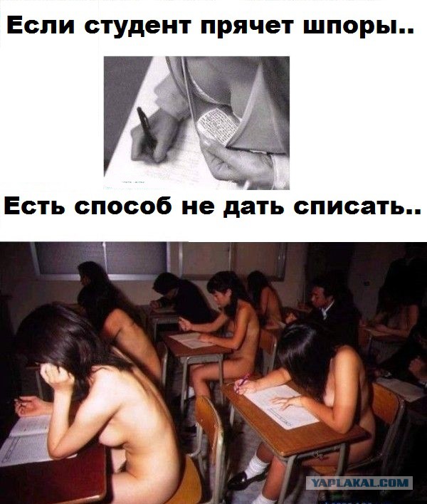 Пришла на экзамен