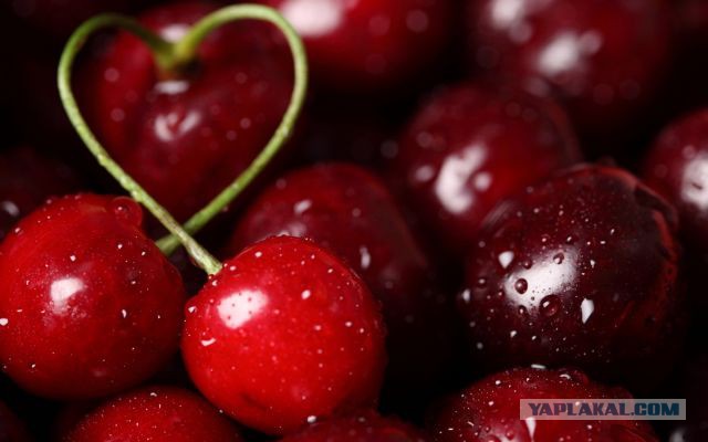 Импровизация, бачата