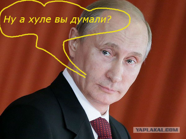 Путин подтвердил заявку на статус