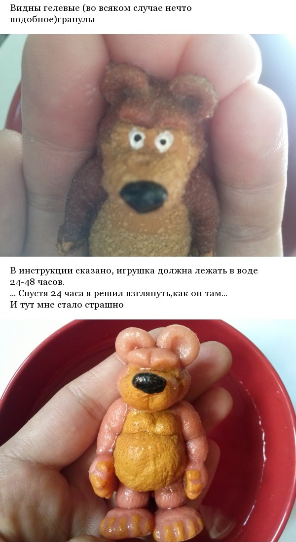Теперь вы видели и медведя