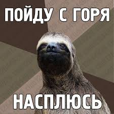 Популярные мемы на ЯПе