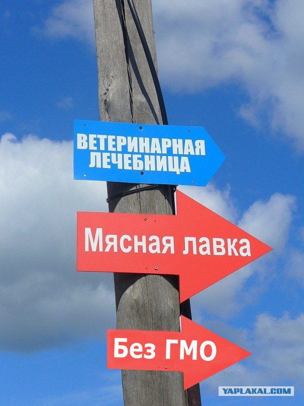 Приходите к нам лечиться...