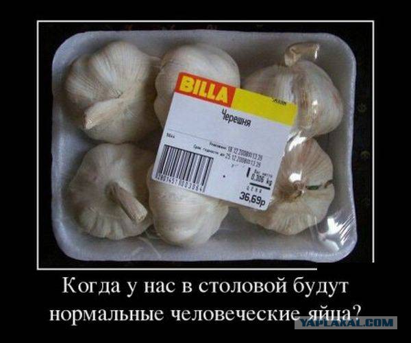 Веселые картинки