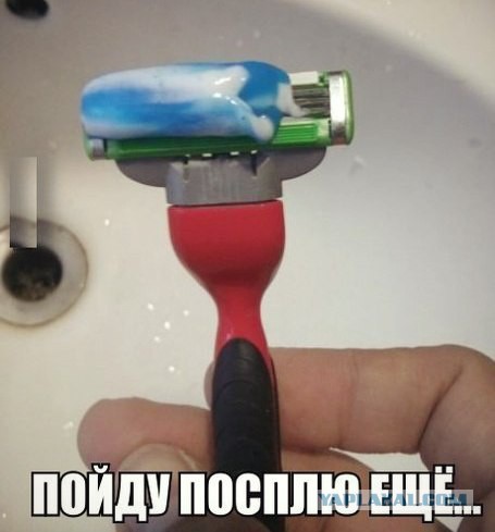 Веселые картинки