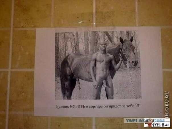 Картинки из соцсетей