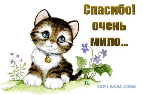 http://s00.yaplakal.com/pics/pics_original/2/2/7/4993722.jpg