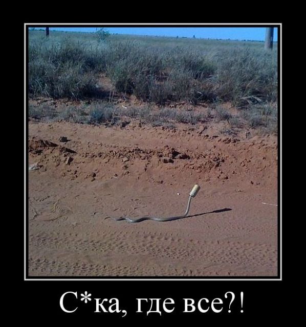 Демотиваторы