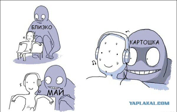 Веселости попавшиеся на сегодня
