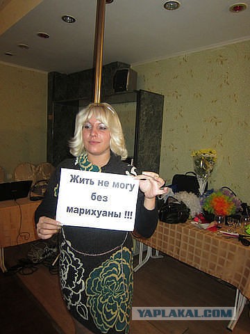 Небольшой привет из соцсетей
