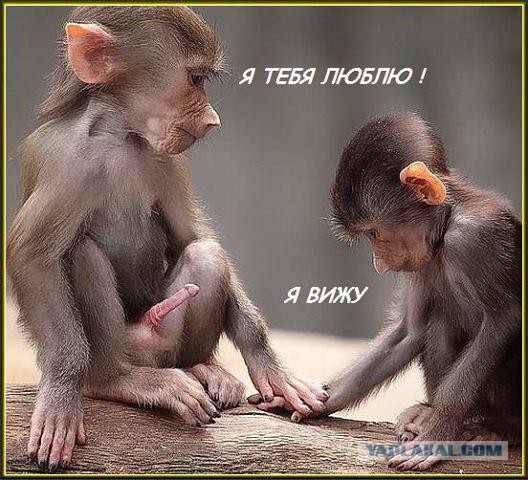 Картинки  разные