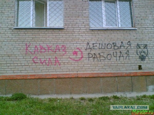 Философы в городе Орле