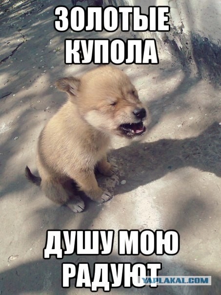 Плюшкиным посвящается