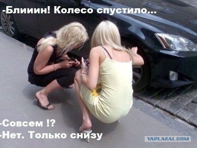 Народные перлы