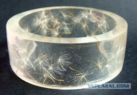 Сохранённый в смоле одуванчик