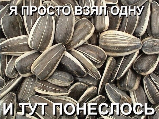Веселые картинки