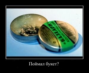 Подлый друг невесты