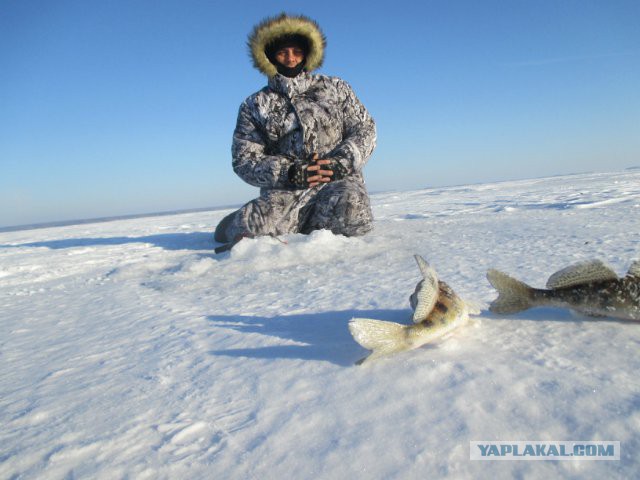 Рыбалка на Устье Камы и Волги (красоты морозной пост)