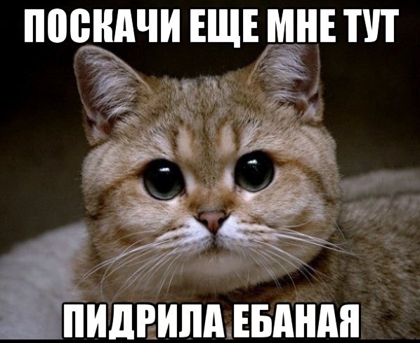Вдруг будет пропасть и нужен прыжок. Прыгнешь ли?