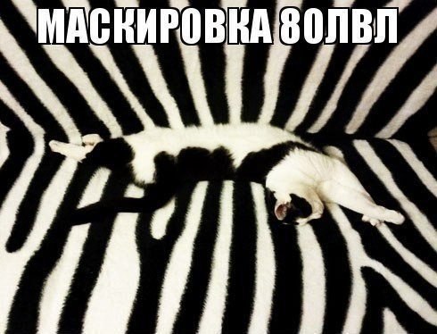 Мохнатые беспредельщики