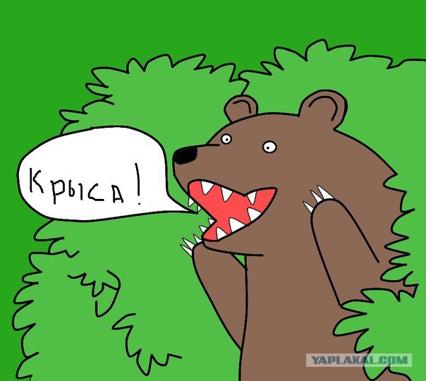 Жадина