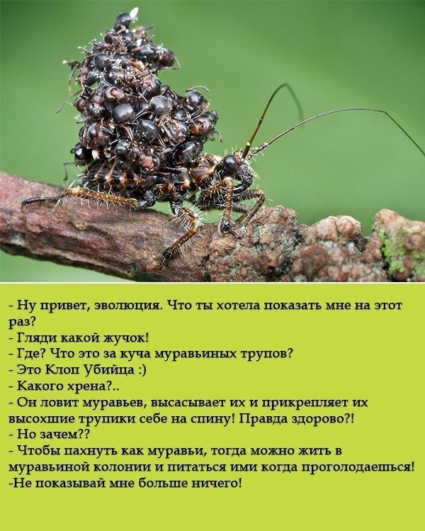 Подборка интересных и веселых картинок